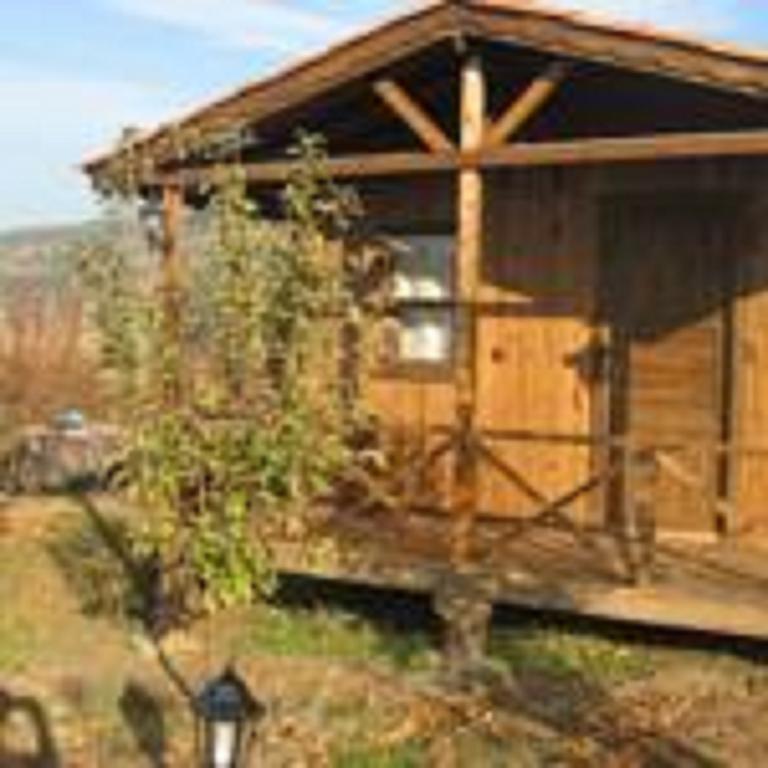 Salkim Konak Ve Agac Evler Guest House Selçuk Cameră foto