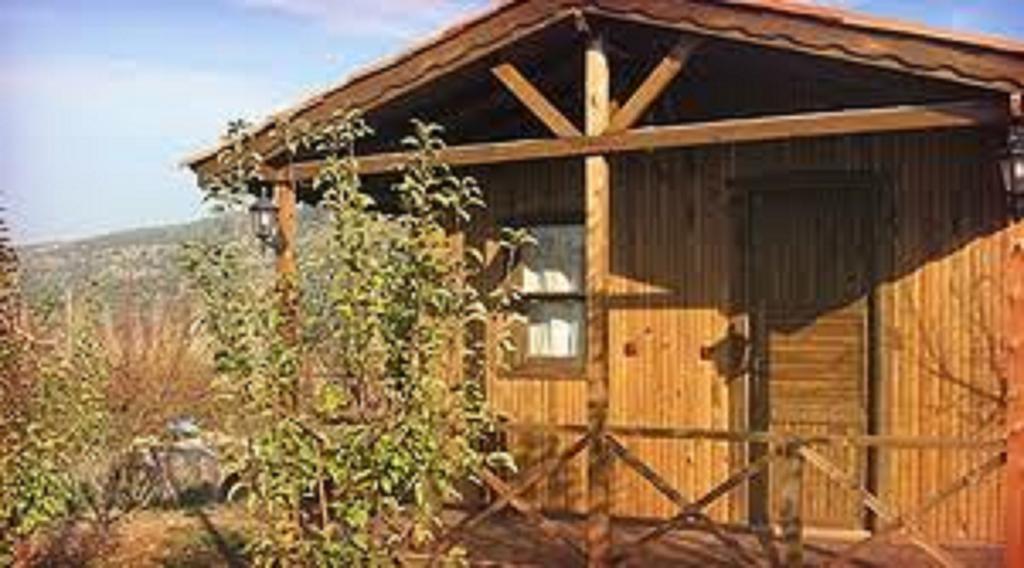 Salkim Konak Ve Agac Evler Guest House Selçuk Cameră foto