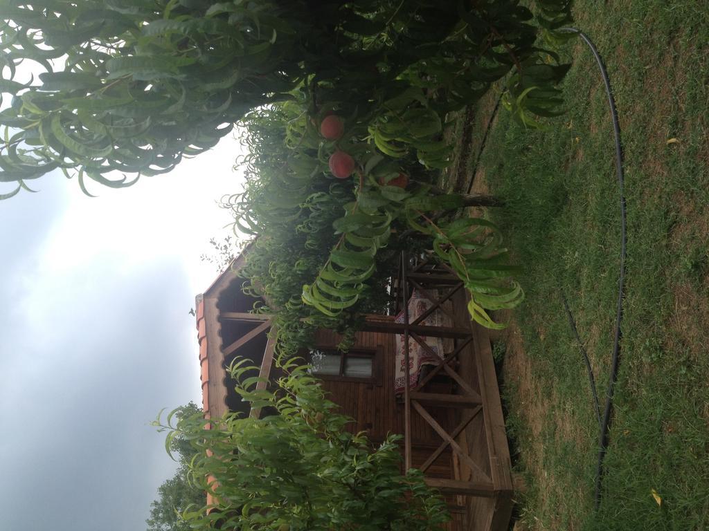 Salkim Konak Ve Agac Evler Guest House Selçuk Cameră foto