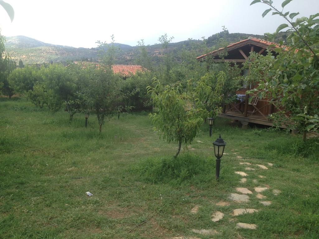 Salkim Konak Ve Agac Evler Guest House Selçuk Cameră foto