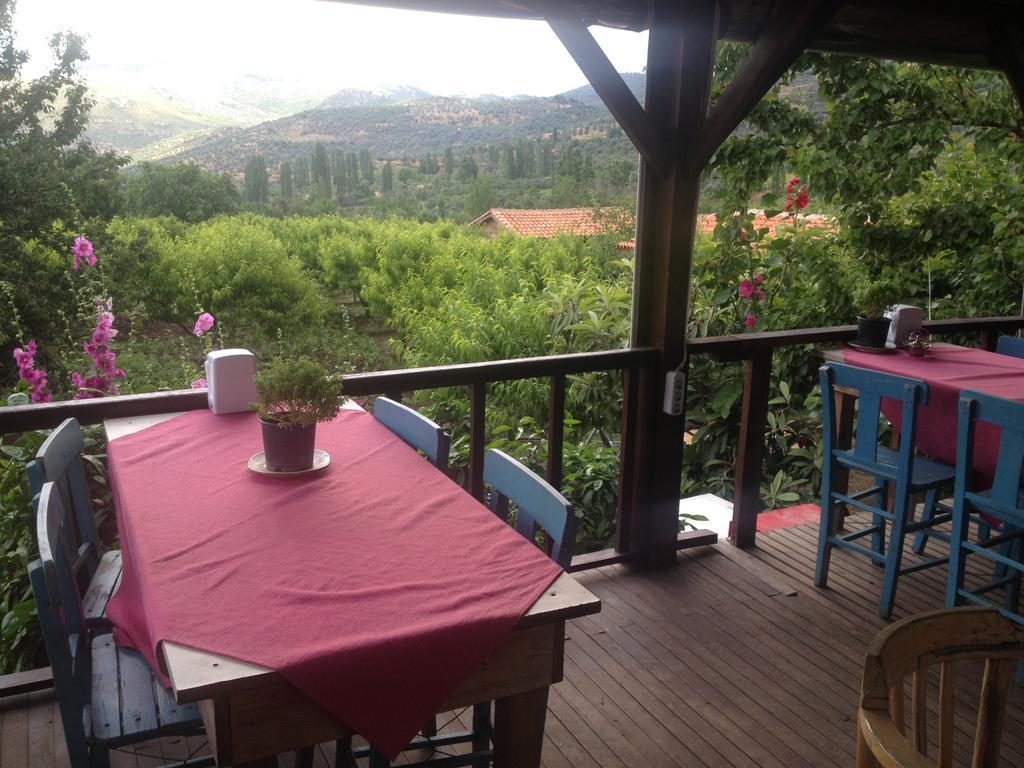 Salkim Konak Ve Agac Evler Guest House Selçuk Exterior foto