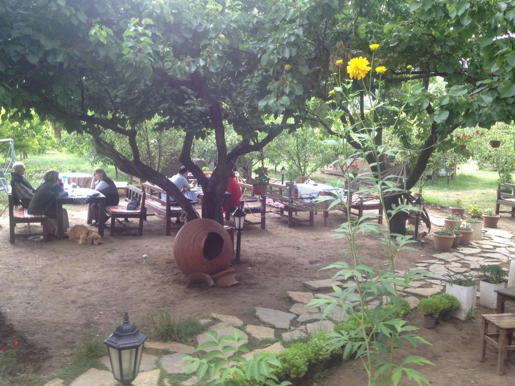 Salkim Konak Ve Agac Evler Guest House Selçuk Exterior foto