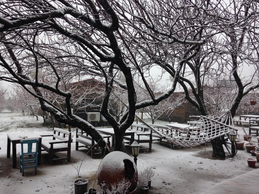 Salkim Konak Ve Agac Evler Guest House Selçuk Exterior foto