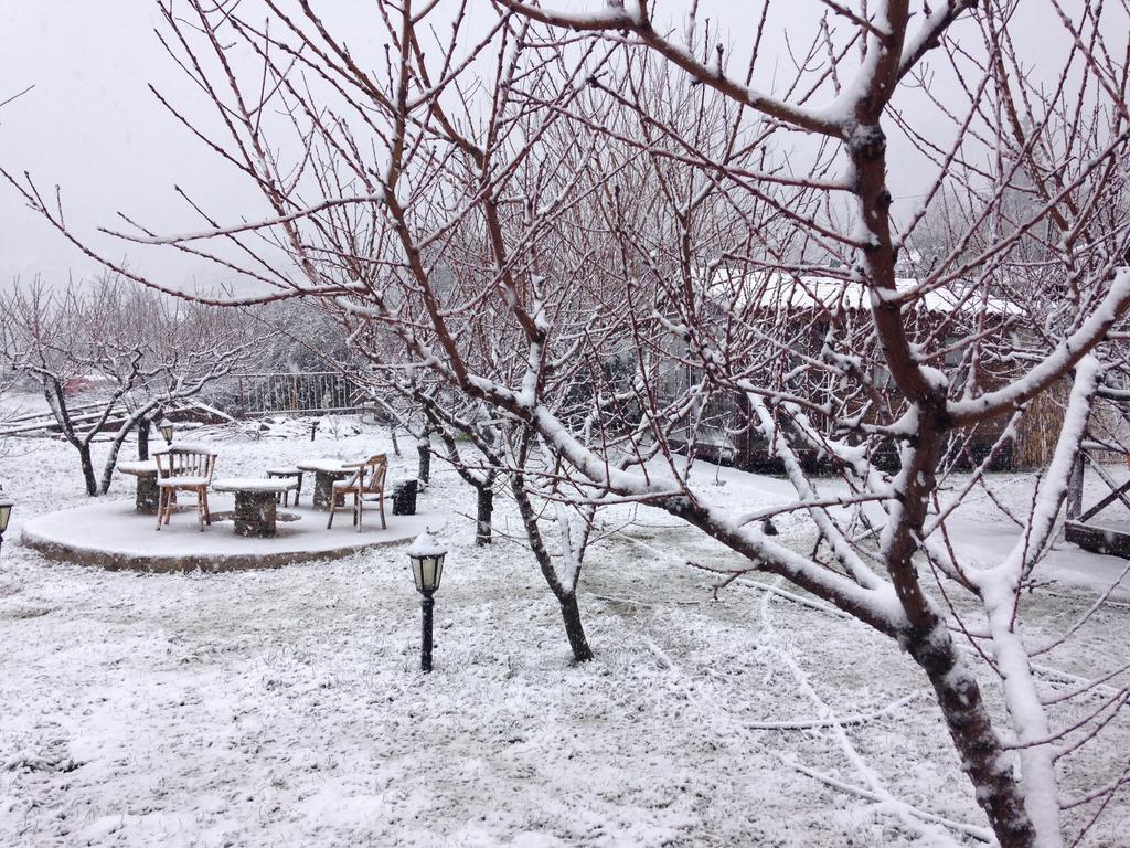 Salkim Konak Ve Agac Evler Guest House Selçuk Exterior foto