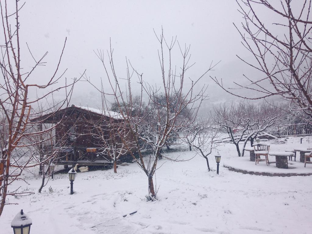 Salkim Konak Ve Agac Evler Guest House Selçuk Exterior foto