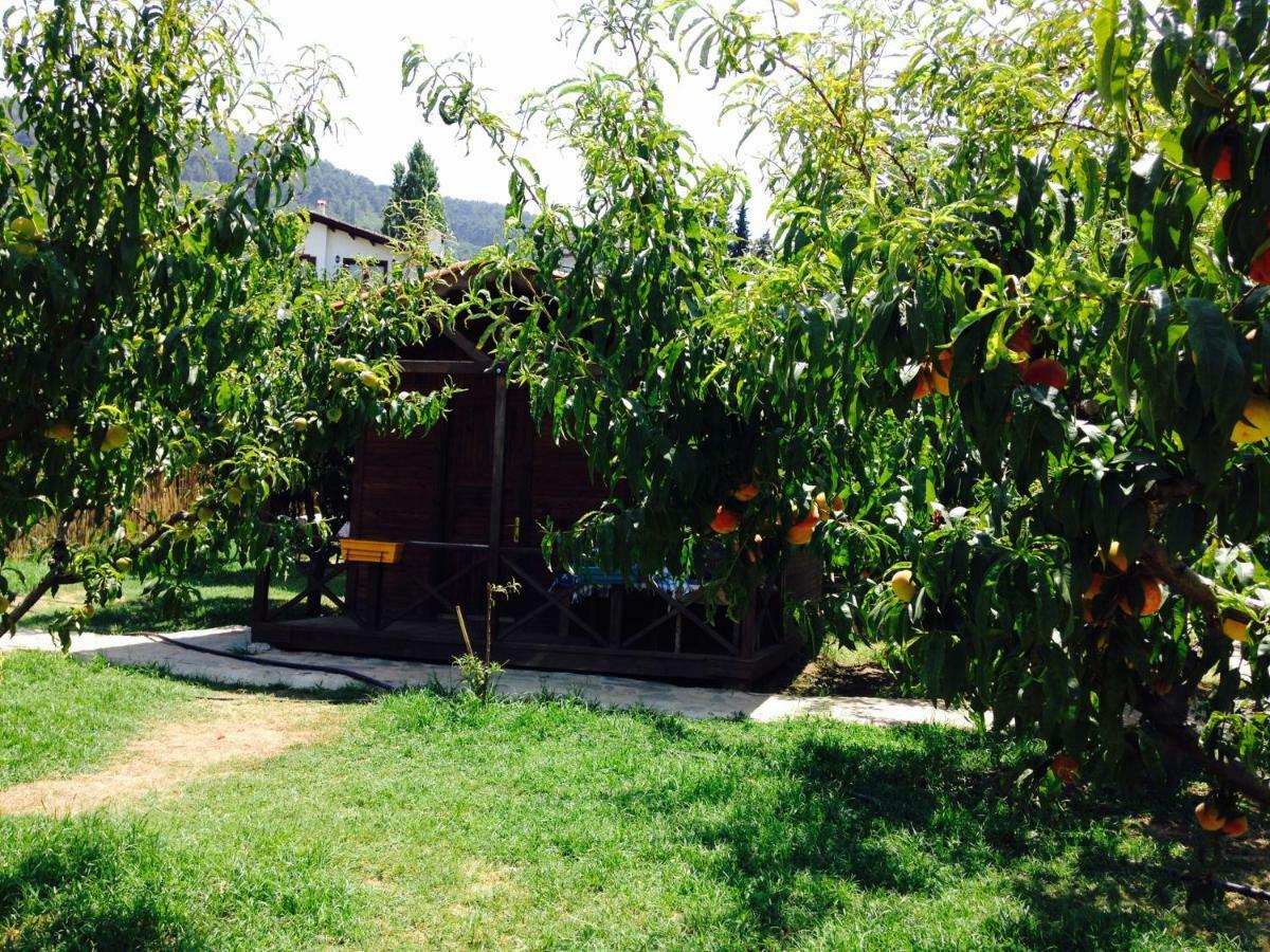 Salkim Konak Ve Agac Evler Guest House Selçuk Exterior foto