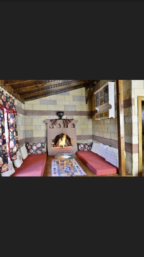 Salkim Konak Ve Agac Evler Guest House Selçuk Exterior foto